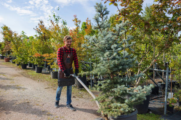 Best Tree Trimming and Pruning  in Tuckahoe, VA